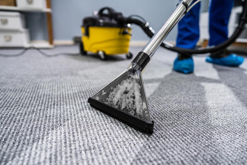Professional carpet cleaning service