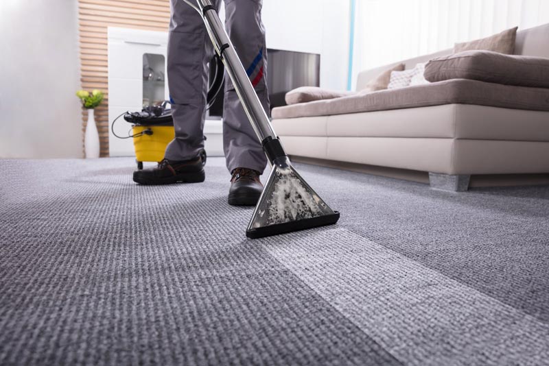 Professional carpet cleaning service